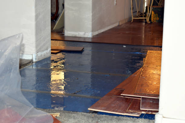 Professional Water Damage technician working in Poth, TX
